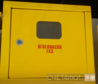 Шкаф для газ счетчика 2.0 (250мм) дверь