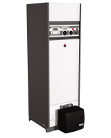 Газовый котел ACV DELTA PRO S 45